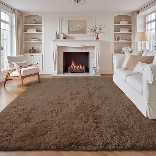 8x10 Area Rugs for Living Room (Coffee / 8' x 10' (Rectangular))