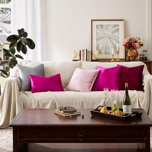 Hot Pink Velvet Pillow Covers 18x18 Decorative Pillows Pack of 2 (Hot Pink / 18" x 18" (Pack of 2))