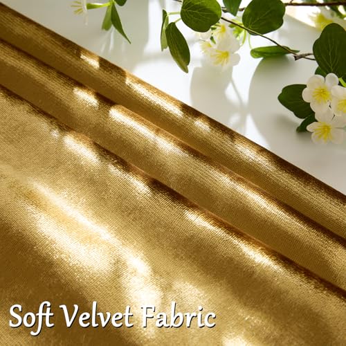 Gold Velvet Pillow Covers 20x20 Decorative Pillows Pack of 2 (Gold / 20" x 20" (Pack of 2))