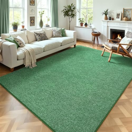 5x7 Area Rugs for Living Room Non Slip Dorm Bedroom Rug (5' x 7' (Rectangular) / Green and White)