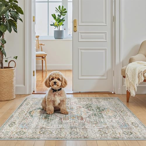 Washable Area Rug 2x3 Small Entryway Rugs Non (Green / 2' x 3' (Rectangular))