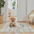 Washable Area Rug 2x3 Small Entryway Rugs Non (Green / 2' x 3' (Rectangular))