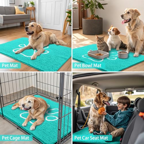 Dog Door Mat for Muddy Paws (30"X20" / Turquoise and White)