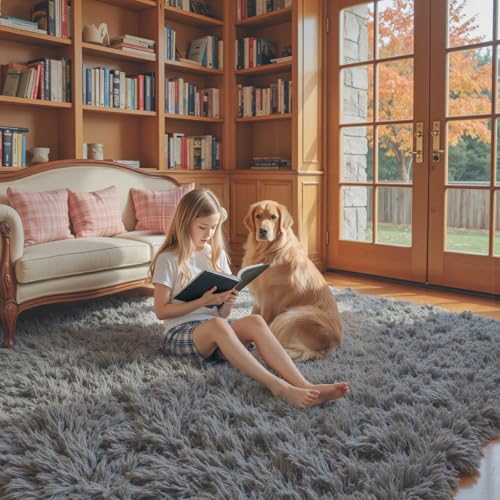 5x8 Dark Grey Shag Area Rug for Living Room (Dark Grey / 5' x 8' (Rectangular))
