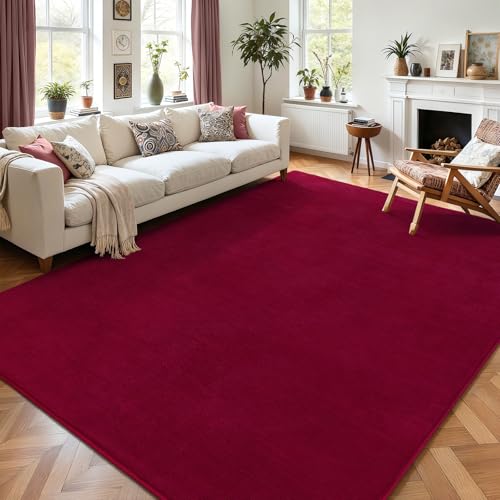 6x9 Area Rugs for Living Room Non Slip Dorm Bedroom Rug (6' x 9' (Rectangular) / Wine Red)