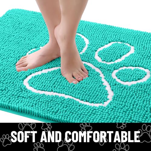 Dog Door Mat for Muddy Paws (30"X20" / Turquoise and White)