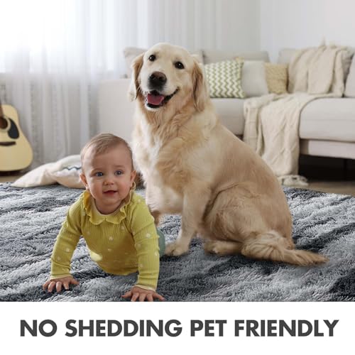9x12 Ft Extra Large Shag Rugs for Living Room (Dg Grey 4sm02 / 9' X 12' (Rectangular))