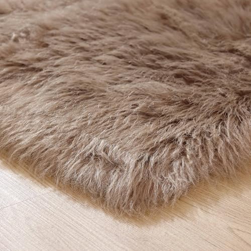 Beige Area Rug 6x9 Light Brown Fluffy Fuzzy Sheepskin Rug for Living Room Bedroom Shag Faux Fur Carpet Rectangle (6' x 9' (Rectangular) / Beige)
