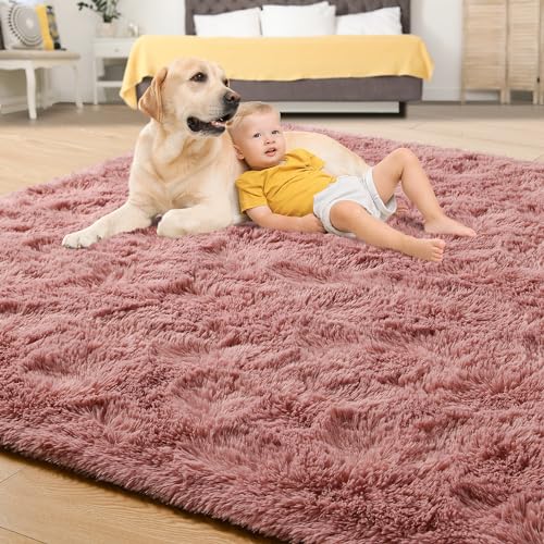6x9 Blush Pink Area Rugs for Living Room Girls Bedroom (Blush / 6' X 9' (Rectangular))