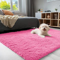 3x5 Machine Washable Small Bedside Rug (3x5 Ft / Hot Pink)