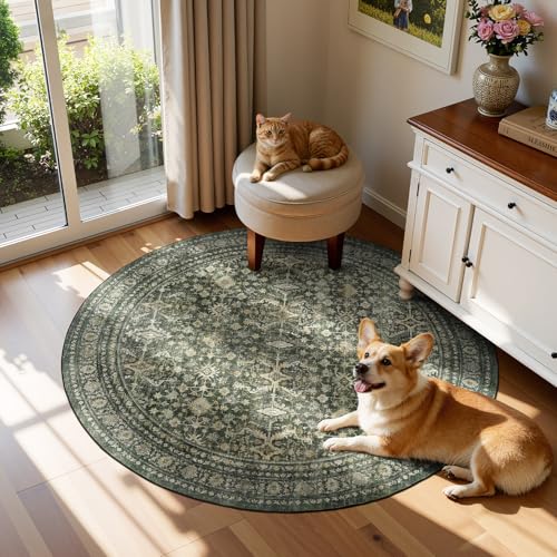 4ft Area Rugs for Living Room Bedroom (Green / 4' (Round))