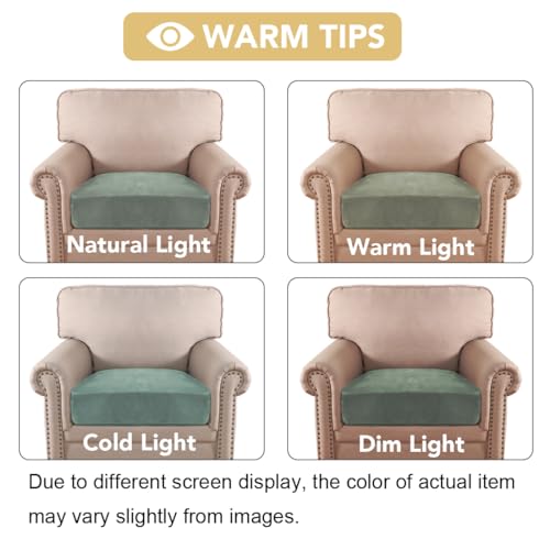 Velvet Stretch Couch Cushion Cover Plush Cushion Slipcover for Chair Cushion Furniture Protector Seat Cushion Sofa Cover (Sea Grass / 1 Cushion Armchair)