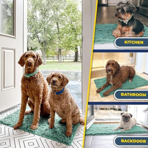 Super Water Absorbent Door Mat Indoor (Seafoam Green / 24" x 96")