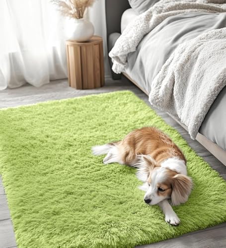 2x3 Machine Washable Small Bedside Rug (2x3 Ft / Grass Green)