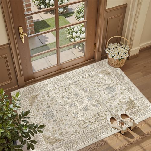 Washable Entry Rug 3x4 Area Rugs for Entryway Kitchen (Beige/Blue / 3' x 4' (Rectangular))
