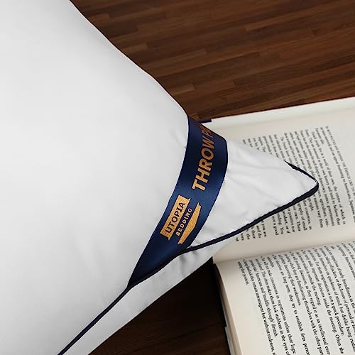 12x12 Throw Pillow Inserts (12x12 Inch)