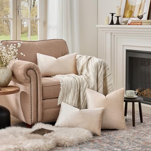 Velvet Pillow Covers 12x20 Decorative Pillows Pack of 2 Beige (Champagne / 20" x 12" (Pack of 2))