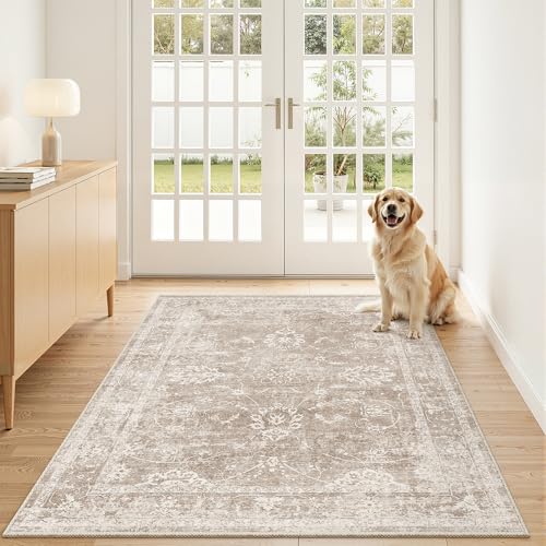 3x5 Area Rugs for Entryway (Brown/Sand / 3' x 5' (Rectangular))