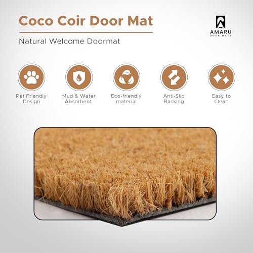 Coir Welcome Mat (Black Cat / 17x29)