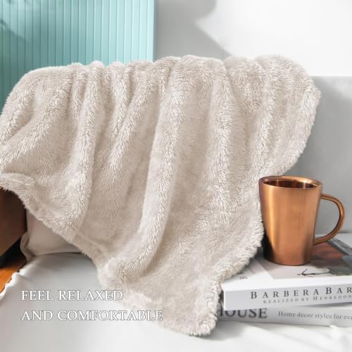 Fuzzy Plush Fleece Bed Blanket Queen Size (Beige / 90x90 IN)
