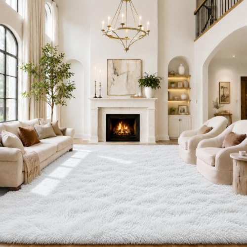 Area Rugs 10x14 for Living Room (White / 10' x 14' (Rectangular))