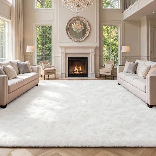 Shag Area Rugs for Bedroom Living Room
