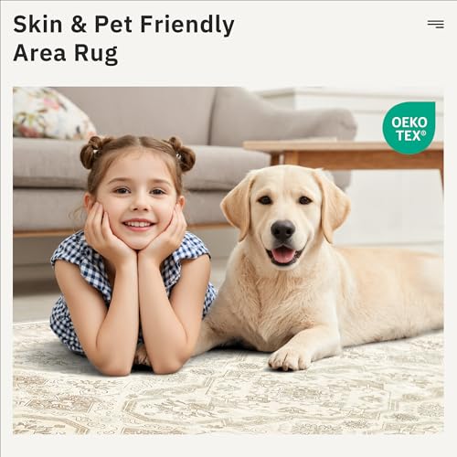 4x6 Area Rug for Living Room (Beige/Brown / 4' x 6' (Rectangular))