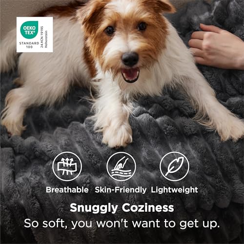 Soft Grey Throw Blanket for Couch Decor Gifts 50"x60" (Grey / Throw)