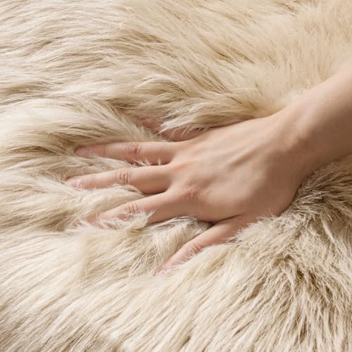 Fluffy Area Rug 2'x3' Cloud Faux Fur Sheepskin Rug for Bedroom Beige (2' x 3' (Cloud) / Beige)