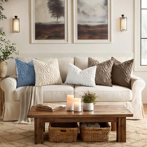 Faux Fur Soft Dusty Blue Throw Pillow Covers 20x20 Set of 2 (20" x 20" (Pack of 2) / Dusty Blue)