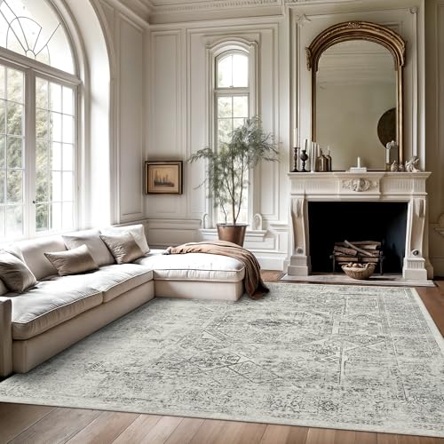 6x9 Area Rug for Living Room Washable Non (Light Gray / 6' x 9' (Rectangular))