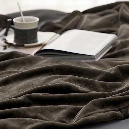 GentleSoft Fleece Throw Blanket Brown (Brown / Throw (50" X 60"))