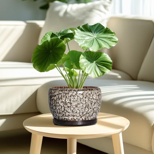 Ceramic Planter (7.8 Inch / Leopard White)
