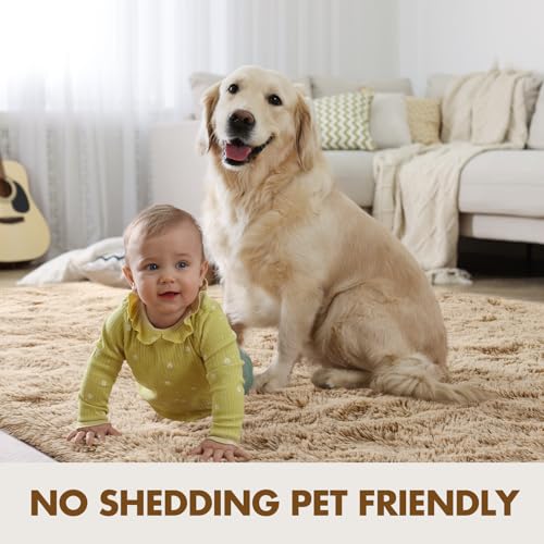 4x6 Ft Shag Beige Rugs for Bedroom Living Room (CC Beige / 4' X 6' (Rectangular))