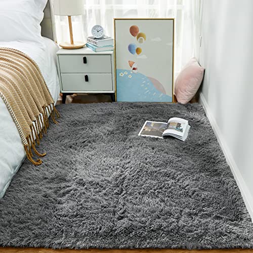 Area Rugs for Living Room Bedroom (1- Grey / 4' x 6' (Rectangular))