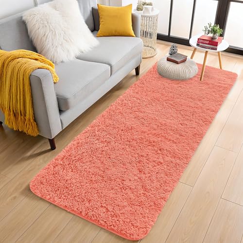 2x4 Machine Washable Runner Rugs for Hallway (2x4 Ft / Coral Red)