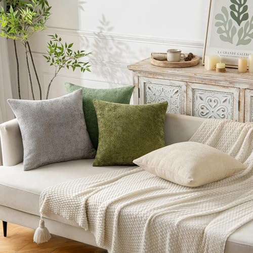 Decorative Couch Throw Pillow Covers 20x20 Inch Sage Green 2 Pack (20" x 20" (Pack of 2) / Sage Green)