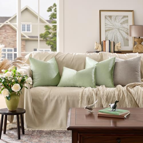 Sage Green Velvet Throw Pillow Covers 18x18 Pack of 2 (Sage Green / 18" x 18" (Pack of 2))