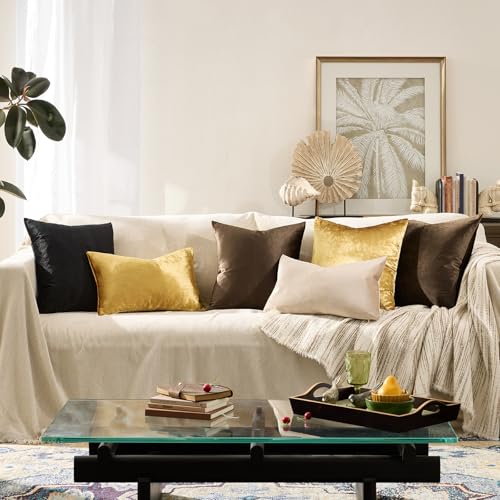 Brown Velvet Pillow Covers 18x18 Decorative Pillows Pack of 2 (Brown / 18" x 18" (Pack of 2))