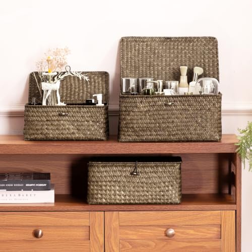 Wicker Storage Basket with Lid (Coffee* Set of 3)
