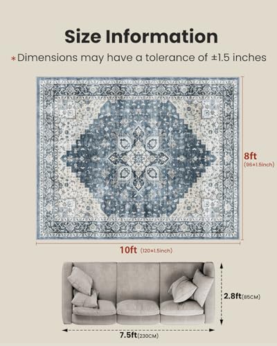Amada 8x10 Area Rugs for Living Room (8' x 10' (Rectangular) / Blue)