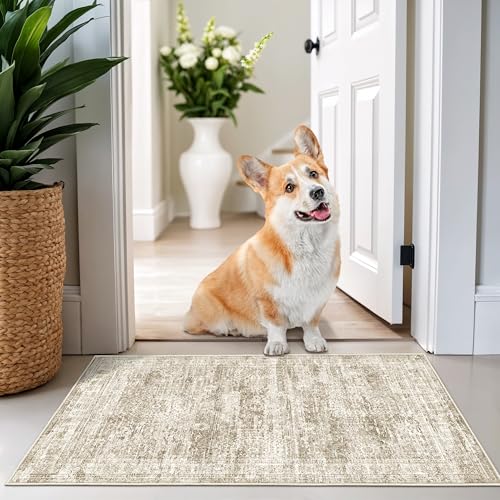 2x3 Rug Non Slip (Brown/Ivory / 2' x 3' (Rectangular))