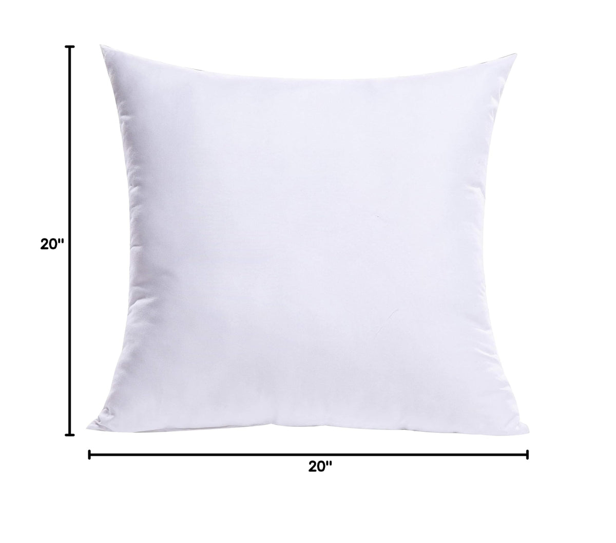 20x20 Inch Throw Pillow Insert for Couch Sofa Bed (20x20 Inch)