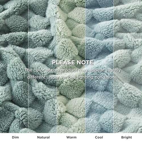 Checkered Soft Cozy Queen Blanket for Bed (01 Sage Green / Queen (90" X 90"))