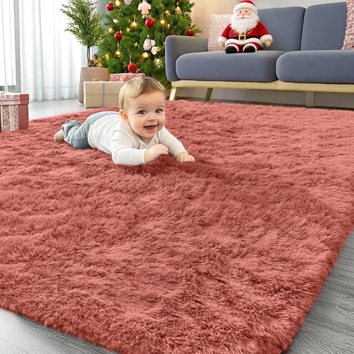 Area Rugs for Living Room Bedroom (4x5.9 Ft / Rust Red)
