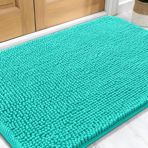 Dog Door Mat for Muddy Paws 32x20 (Teal / 32" X 20")