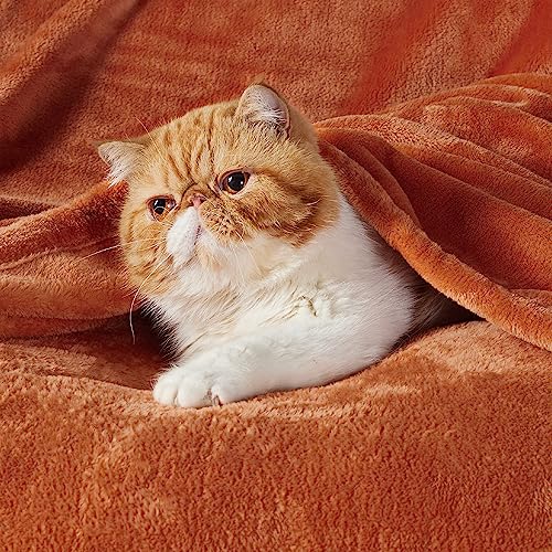 Soft Cozy Warm Fleece Baby Blanket for Kids Orange 43"x55" (Orange / Kids (43" x 55"))