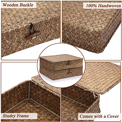 2 Packs FLat Woven Wicker Basket Bin with Lid (Large+Large / Coffee)