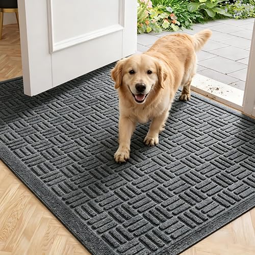Front Door Mat Outside Entrance (Grey / 3' x 5'2" (Rectangular))