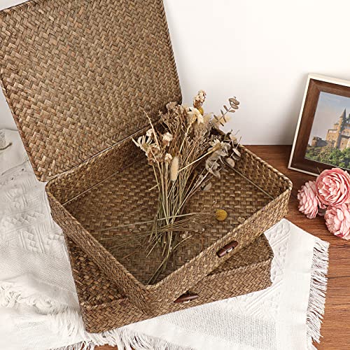 2 Packs FLat Woven Wicker Basket Bin with Lid (Large+Large / Coffee)